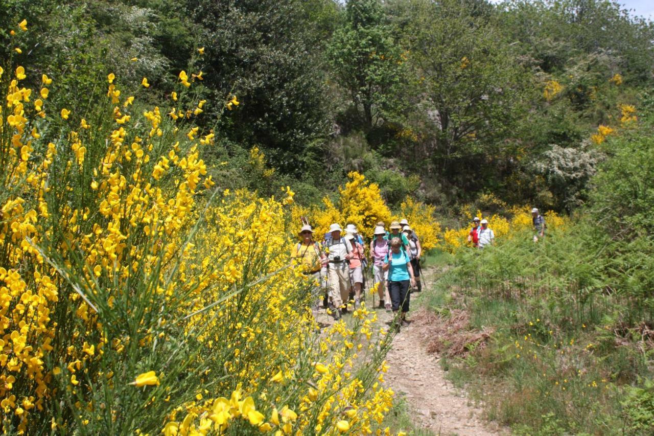 Cap Ardeche Hotell Laurac-en-Vivarais Eksteriør bilde